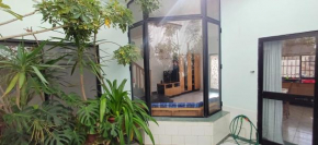 The roof garden